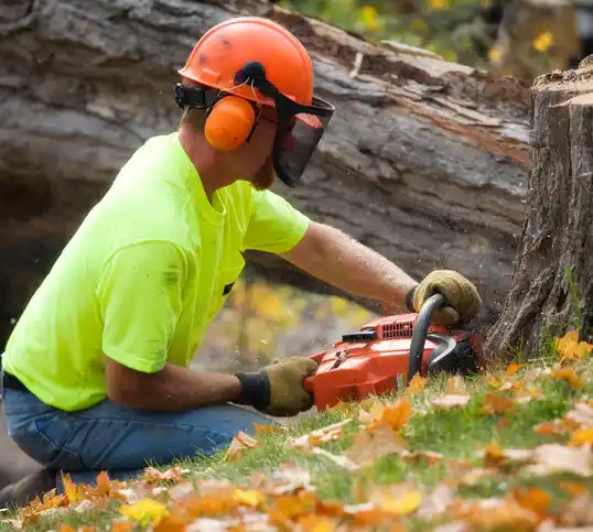 tree services Swepsonville